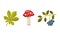 Toadstool with Red Cap and Berry Twig as Forest Botany Element Vector Set