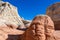 Toadstool Trail in Utah north of Page. Grand Staircase Escalante National Mon.