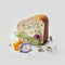 Toast bread with fresh flowers, spring and summer season, plants from the garden, healthy food