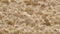 Toast bread surface, bread background texture