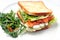 Toast sandwich with salmon, vegetable and salad on white plate