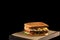 Toasted sandwich with cheese, turkey and fresh vegetables on a dark background