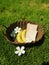 Toasts and bananas in brown basket with white flowers on green grass.
