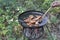 Toasts quickly cooked on a campfire in nature