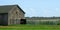 Tobacco Barn and Netting