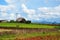 Tobacco farm in Puerto Esperanza, Cuba