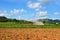 Tobacco farm in Vinales, Cuba