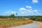 Tobacco fields around Puerto Esperanza, Cuba