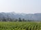 Tobacco fields and mountains of Konglor