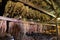 Tobacco shed or barn for drying tobacco leaves in Cuba