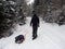 Tobogganing or sledging in winter