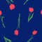 Tock vector illustration of a seamless pattern with red tulips flowers on a bright blue background. Watercolor hand-drawn flower.