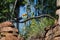 Toco Toucan Perched on Branch