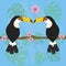 Toco toucans cute couple with flowers