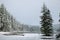 Todd lake in a snowy day on June