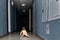 Toddler baby alone in a dark corridor. A lone child boy crawls in the dar