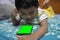 a toddler baby boy engaged in watching and exploring mobile phone.Screen time addiction concept image