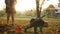 Toddler boy helps his older sister clean up the fallen leaves in the backyard. Brother and sister, the baby could not