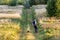 Toddler boy in nature with father, playing time