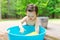 Toddler boy playing in a little bath tub