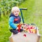 Toddler boy sitting in wooden trolley with red apples