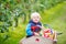 Toddler boy sitting in wooden trolley with red apples