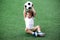 Toddler boy in sports uniform sitting on green footall field holding soccer ball above head. Copy space