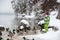 Toddler boy in warm winter suit feeding ducks