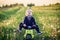 Toddler child in a summer dandelion field feels free and happy