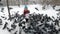 Toddler child on winter walk feeding pigeons