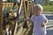 Toddler feeding the goats