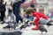 Toddler feeding the pigeons