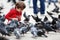 Toddler feeding the pigeons