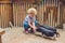 Toddler girl caresses and feeds pig piglet in the petting zoo. c