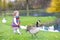 Toddler girl chasing wild geese at lake in autumn park