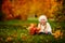 Toddler girl have fun with fallen golden leaves