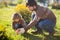 Toddler girl and her father harvesting orange pumpkin.