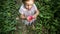Toddler girl holding a cup with wild strawberries standing on footpath