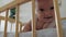 Toddler girl learning to keep her head lying in a crib.