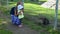 Toddler girl with mother enjoy muskrat ondatra zibethicus animals in zoo