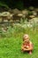 Toddler girl picking up wild flowers near the mountain river