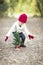 Toddler Girl In Red Mittens and Cap Planting Christmas Tree Sappling