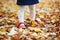 Toddler girl in red shoes and polka dot pantihose standing on fallen leaves in a fall day