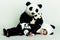 Toddler loving pandas