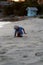 Toddler playing at the beach