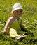 Toddler playing on meadow