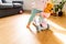 Toddler playing with scooter at home in the living room with teddy bear in basket