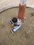Toddler playing with soil and dirt under a tree in a garden
