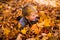 Toddler plays in the leaves smiling