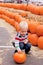 Toddler at the pumpkin patch